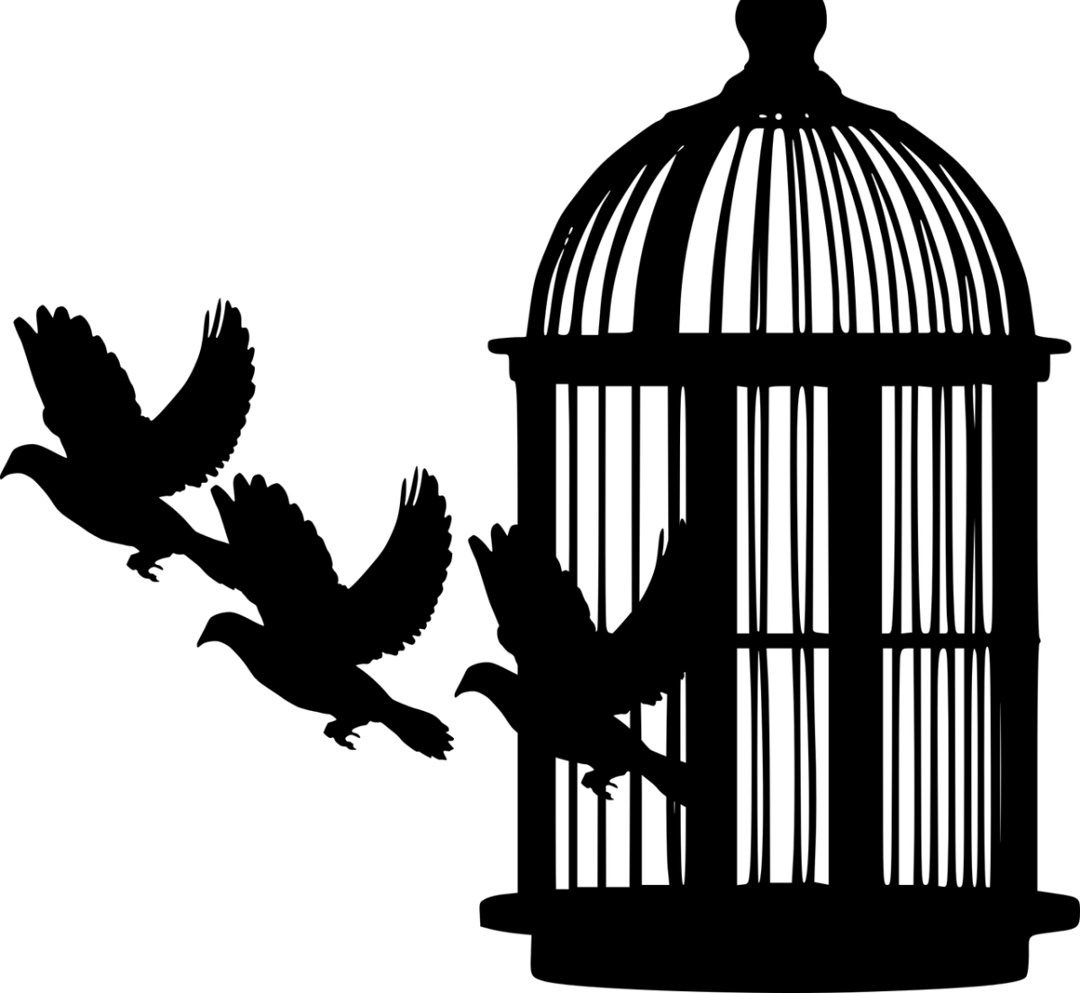 Scrittura e lockdown: l’assenza di libertà può essere una fonte di ispirazione?